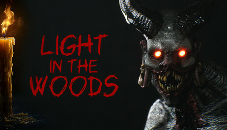 Купить Light in the woods