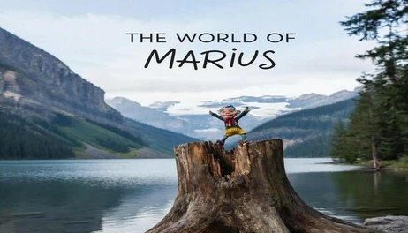 Купить The World of Marius