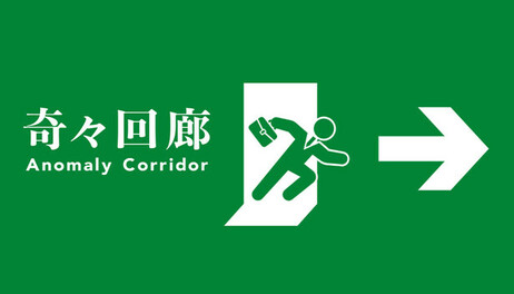 Купить Anomaly Corridor