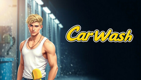 Купить Car Wash