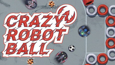 Купить Crazy Robot Ball