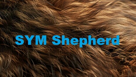 Купить SYM Shepherd