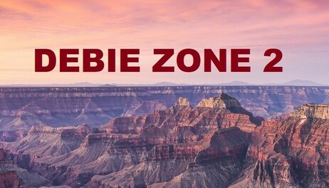 Купить DEBIE ZONE 2