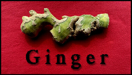 Купить Ginger
