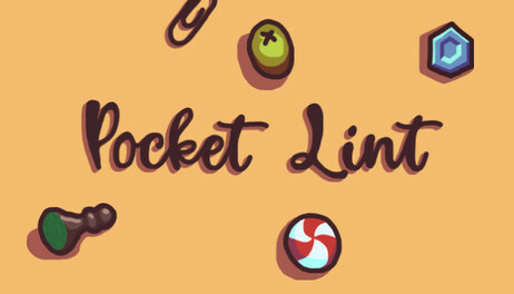 Купить Pocket Lint