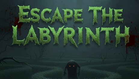 Купить Escape The Labyrinth