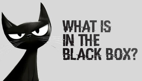 Купить What is in the Black Box?