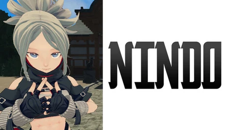 Купить NINDO
