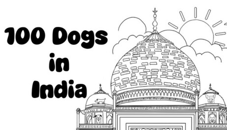 Купить 100 Dogs in India