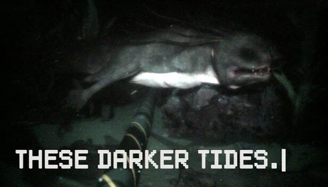 Купить These Darker Tides