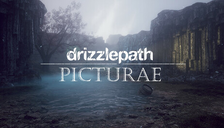Купить Drizzlepath: Picturae