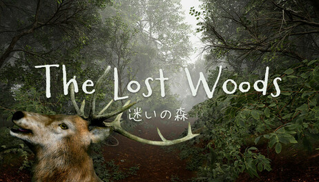 Купить TheLostWoods / 迷いの森