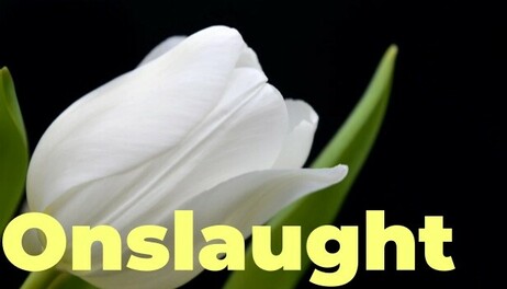 Купить Onslaught