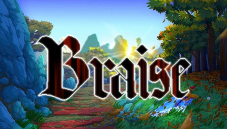 Купить Braise