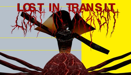 Купить LOST IN TRANSIT
