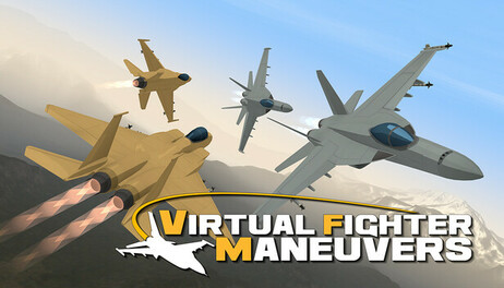 Купить Virtual Fighter Maneuvers