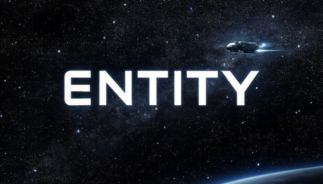 Купить The Entity Within