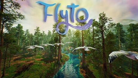 Купить Flyto