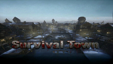 Купить Survival Town