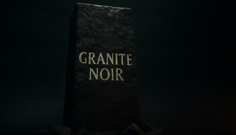 Купить Granite Noir: The Social Experiment