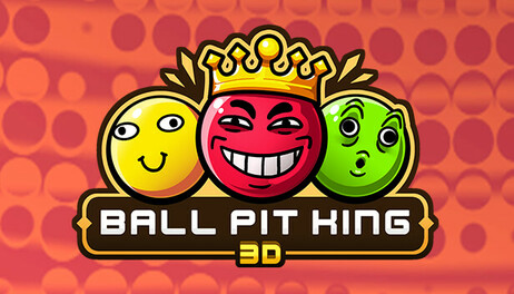 Купить BALL PIT KING 3D