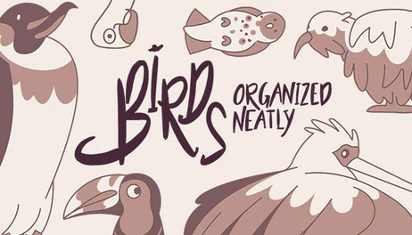 Купить Birds Organized Neatly