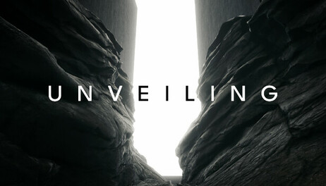 Купить Unveiling