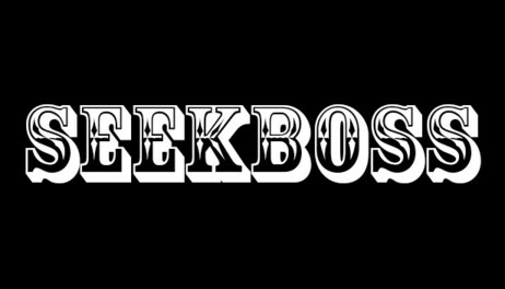 Купить SEEKBOSS