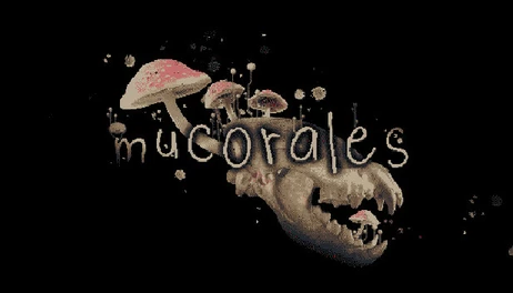 Купить Mucorales