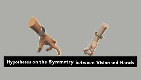 Купить Hypotheses on the Symmetry between Vision and Hands
