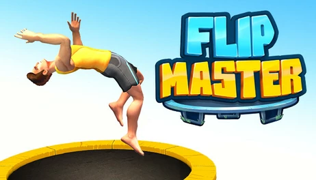 Купить Flip Master