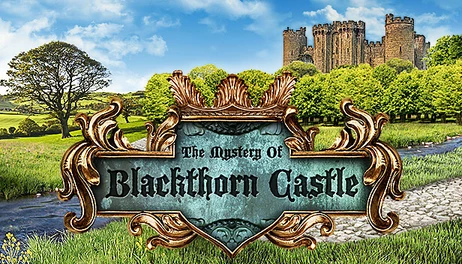 Купить The Mystery of Blackthorn Castle