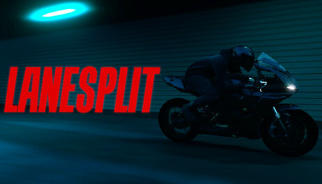 Купить LANESPLIT