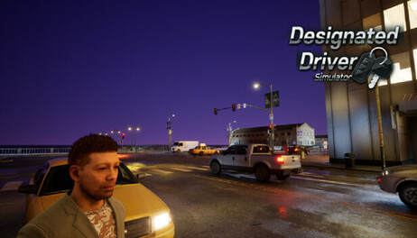 Купить Designated Driver Simulator