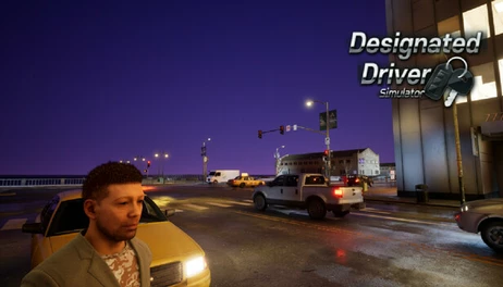 Купить Designated Driver Simulator