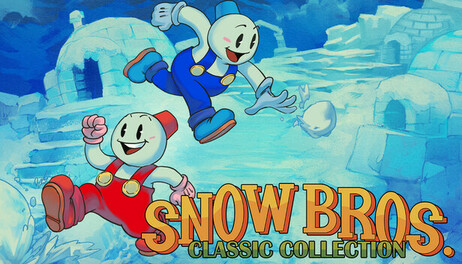 Купить Snow Bros Collection