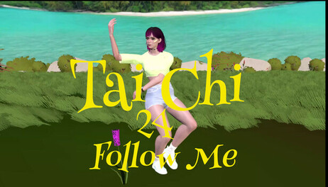 Купить Tai Chi 24: Follow Me