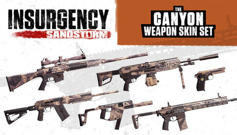 Купить Insurgency: Sandstorm - Clear Sight Set Bundle