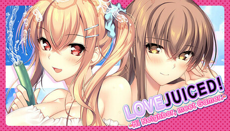 Купить Atelier KAGUYA Developer Bundle