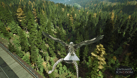 Купить Untamed Kingdom