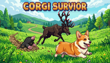Купить Corgi Survivor