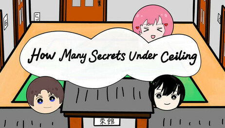 Купить How Many Secrets Under Ceiling