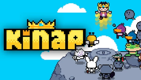 Купить Kinap