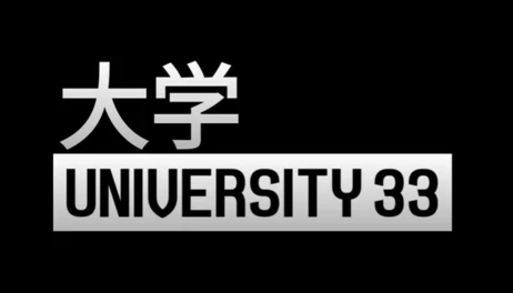 Купить University 33