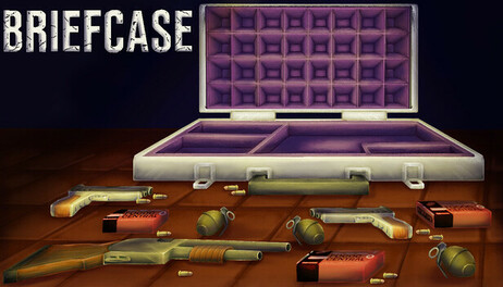 Купить Briefcase