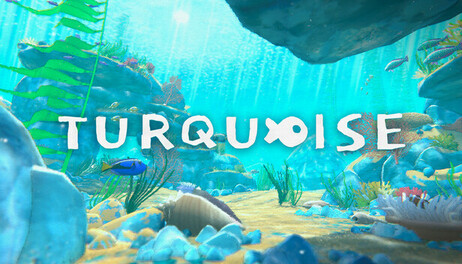 Купить Turquoise