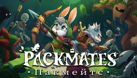 Купить Packmates