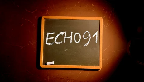 Купить Echo 91
