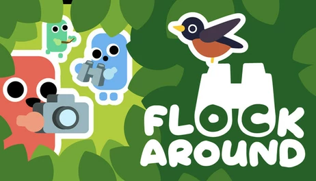 Купить Flock Around