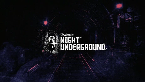 Купить Testimony - Night Underground